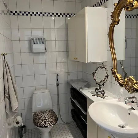 Apartment Lovely Penthouse In The Heart Of Helsinki